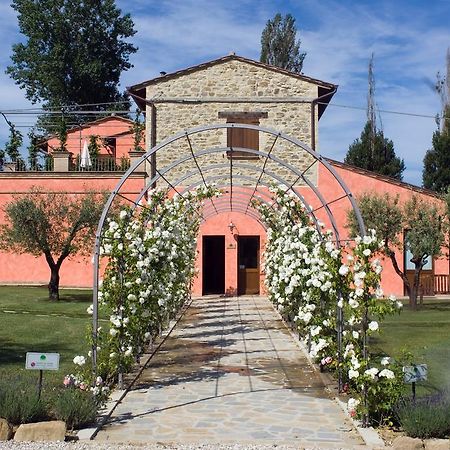 Agriturismo Casale Le Selvette Ripa Екстериор снимка
