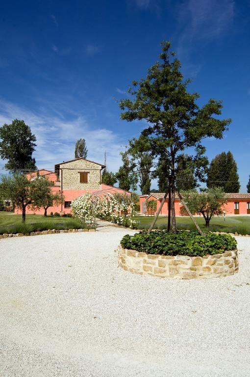 Agriturismo Casale Le Selvette Ripa Екстериор снимка